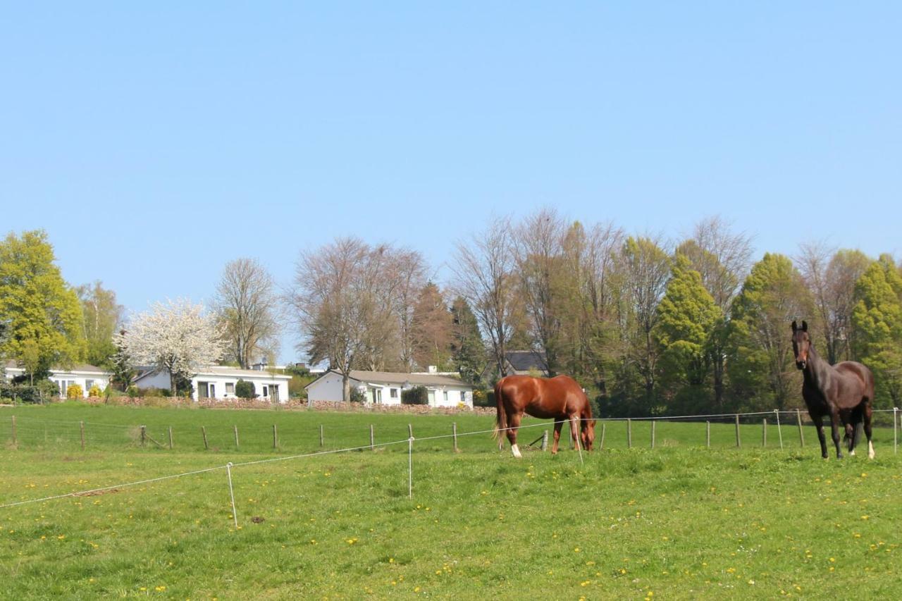Domein Hellebeuk Met Uitzicht! Valkenburg/Klimmen Eksteriør bilde